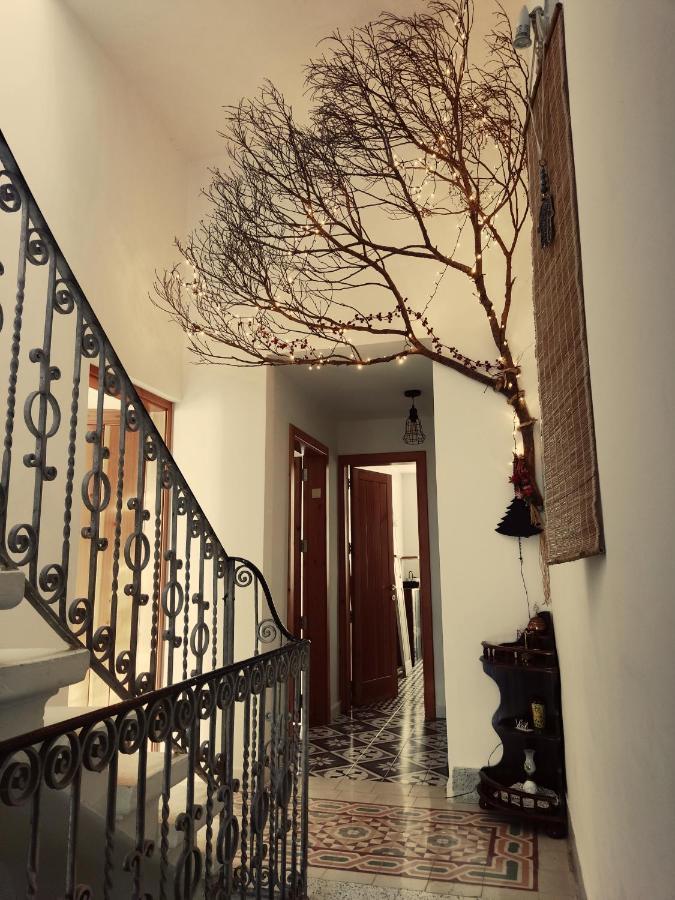 Bed and Breakfast Dhara House Malta Paola Esterno foto
